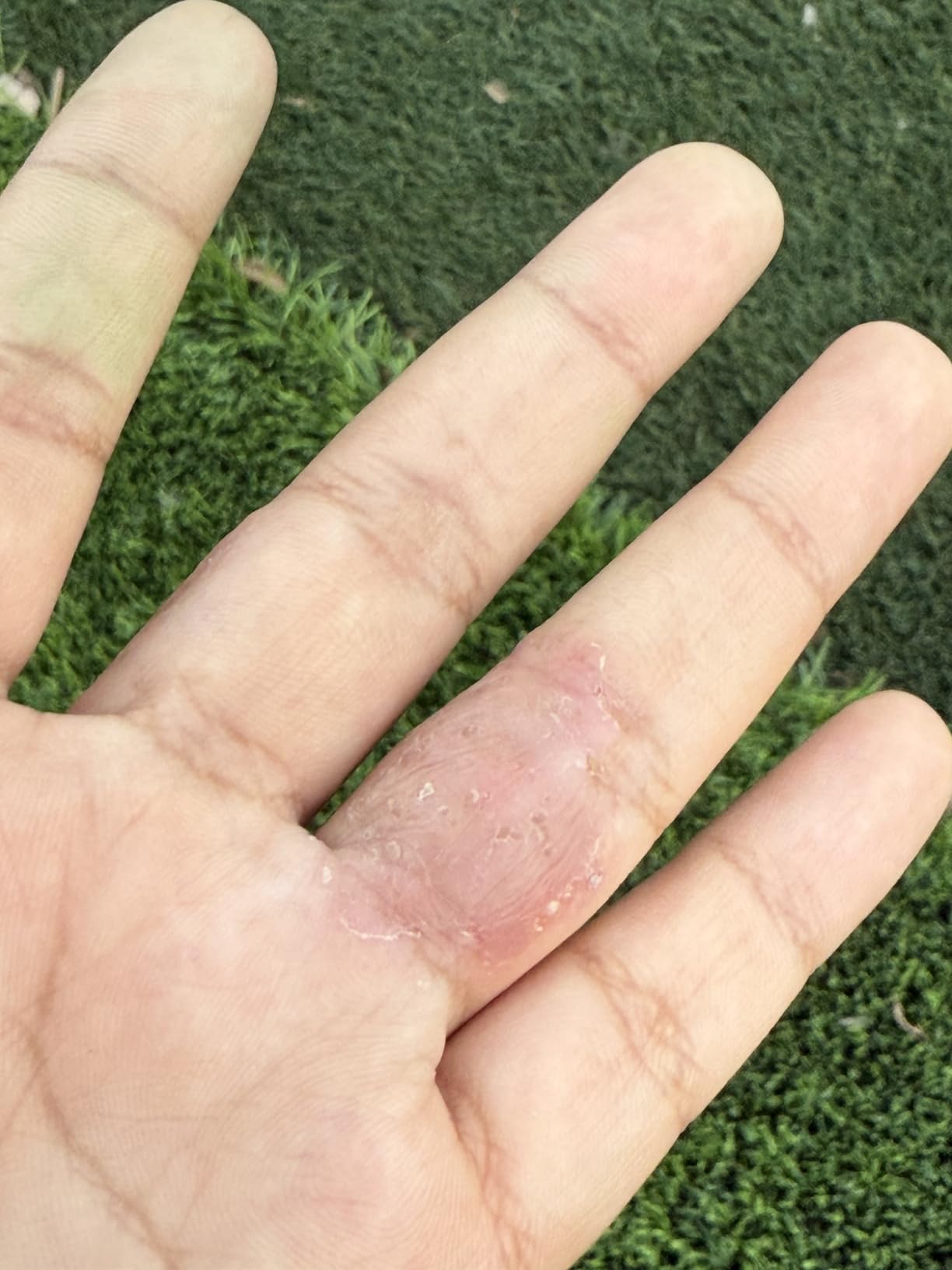 Review by Amanda Lewis