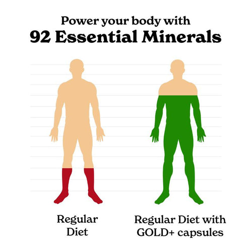 Shilajit, Ashwaganda & Sea Moss