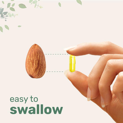 Berberine Wellness Boost