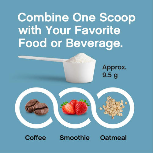 Creatine + Multi Collagen Bio Peptides