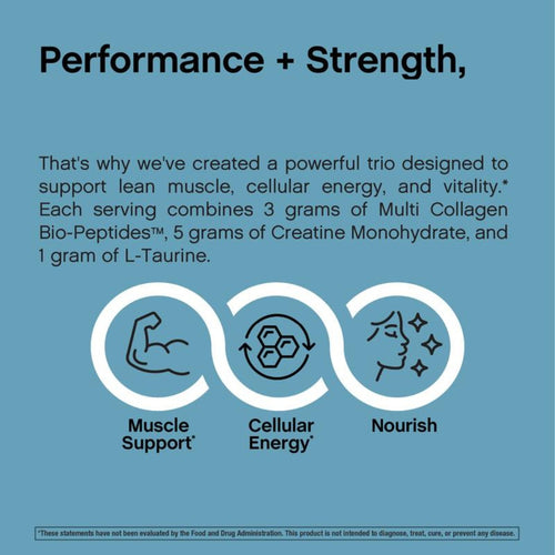 Creatine + Multi Collagen Bio Peptides